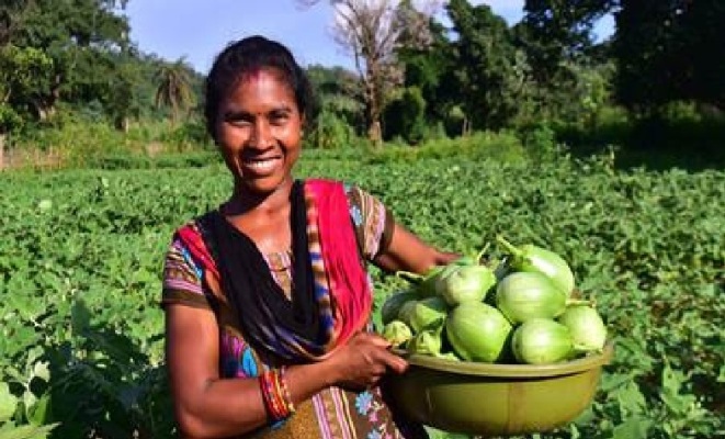 Walmart Foundation, in collaboration with NGOs, supports smallholder women farmers across 9 Indian states